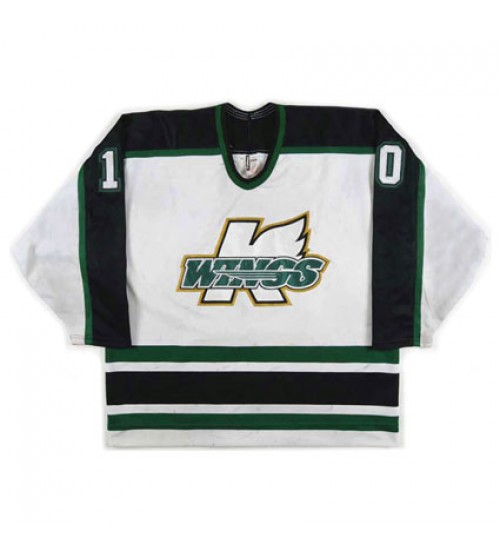 Custom ECHL Kalamazoo Wings Hockey Jersey White